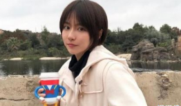 麻豆经济,揭秘网红经济新风口