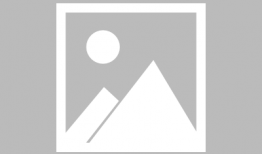 福麻豆,探寻传统美食与现代生活的完美融合